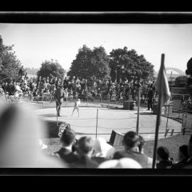 Animal display involving a Macaque (?), Taronga Zoo, Sydney [April 1938]