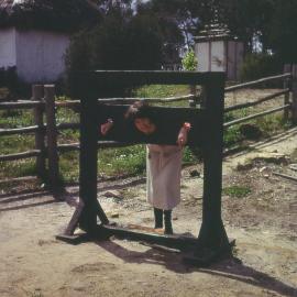 Convict era stocks, Old Sydney Town, NSW, late 1900s