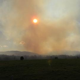 Burning off at Booral