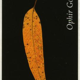 Indigo Ridge label front (2004)