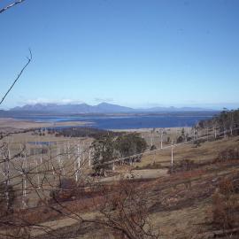 Landscape, Tasmania