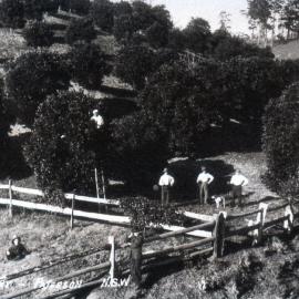 Orangery, Paterson, NSW