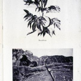 Christian's Cave, Pitcairn Island, where Fletcher Christian planned to take refuge from the British Navy