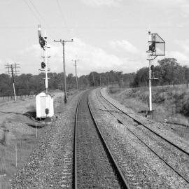Upper quadrant signals between Greta and Allendale, NSW