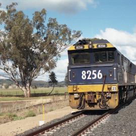 8256 waiting at Quipolly, NSW
