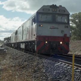 An Elzoro grain at Quipolly, NSW