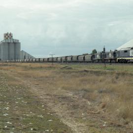 A grain train being loaded near Moree, NSW