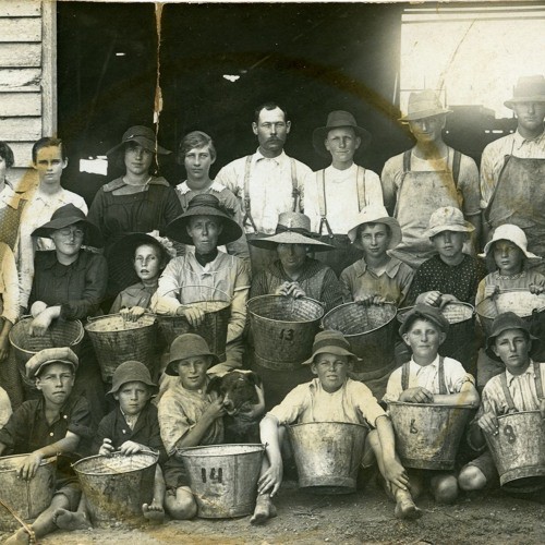 Florrie Matthews née Findley (1911-2005) - Cessnock resident. Recorded 18 June 1984. Part 2/2.