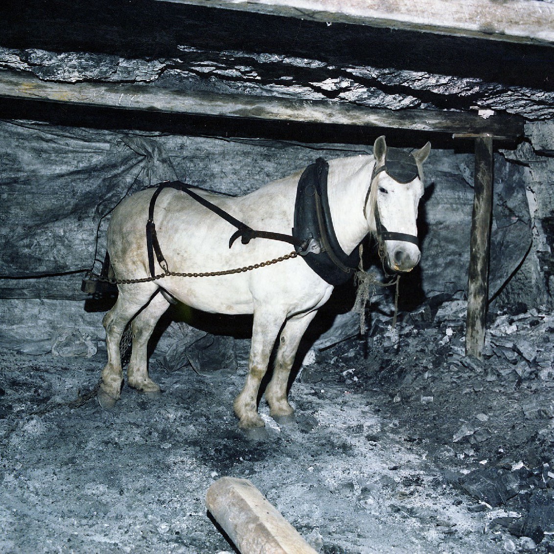 Jack Wood (1908-1984) - Mine Worker. Recorded 7 February 1978. Part 1/1