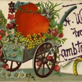 A Wish from Lambton (NSW) (Postcard)
