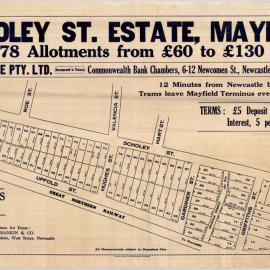 Scholey Street Estate, Mayfield, [n.d.]