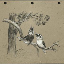 The story of Kurri Kurri the Kookaburra: two kookaburras laughing