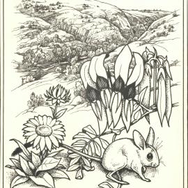 Landscape with desert pea and small marsupial