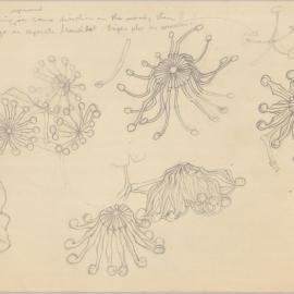 Untitled (Flowers)