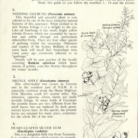 Wirrimbirra Nature Trail No. 2