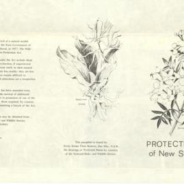 Protected Plants of NSW