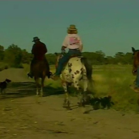 Country Report 10