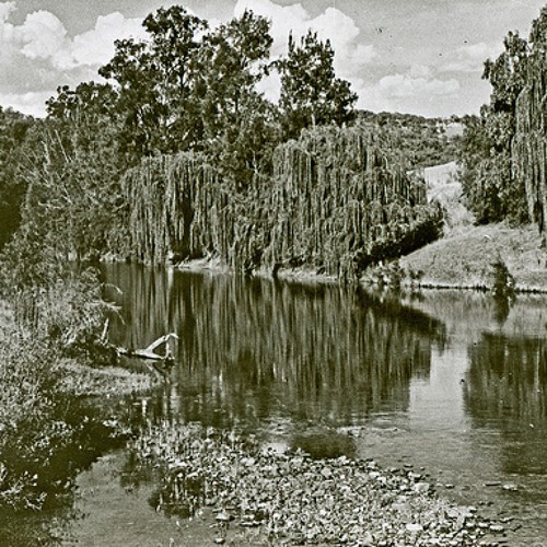 Mrs Gladys Shearer & her memories of childhood days in Singleton in 1920s