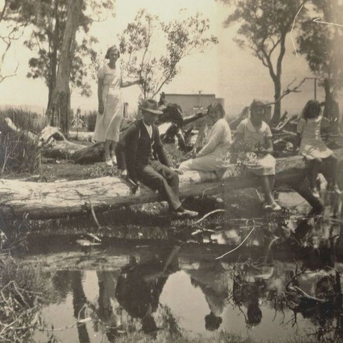 History of the Marks Family - Ann Gee - 1987