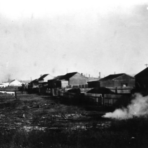 The Great Depression - Kathleen Jones - 29 August 1989