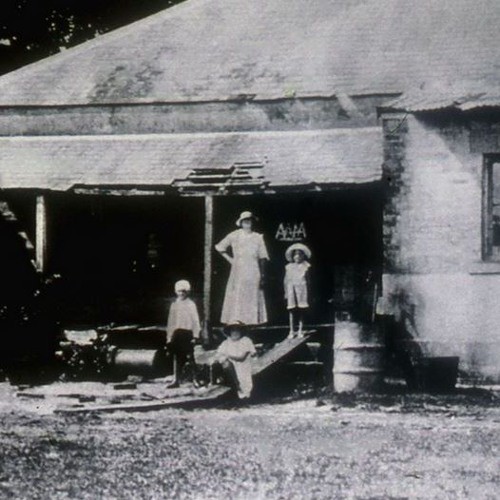 Single Working Women in the Depression - Joyce Staley - 1989