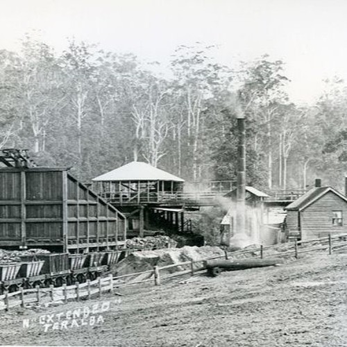 Teralba & Stockton Borehole - Wilfred Dews - 21 August 1988