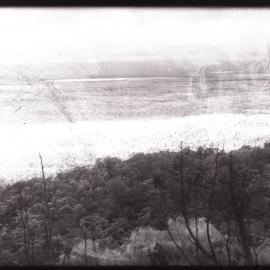 View of bush land from above