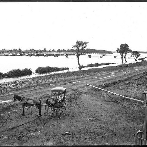 Mosquito Island 1916-1923 - John Duggan - 17 September 1989