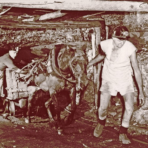 Coal Mining in Newcastle in the 1950s- Wal Partridge - 19 November 1989