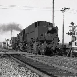 6009, Garratts, up goods, 22 November 1971, Cockle Creek, NSW