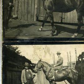 Oliver Wright Chambers with horse at Morpeth, NSW