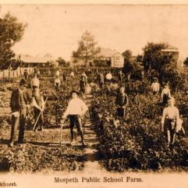 Morpeth Public School Farm (postcard), 1925-1926
