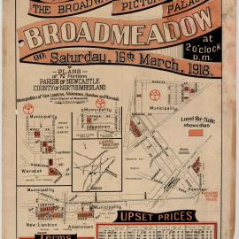 Newcastle Pasturage Reserve - Auction sale Crown lands, Saturday, 16th March, 1918