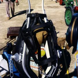 Steamfest, Maitland Station, Maitland, NSW, April 1990