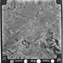 Camberwell, NSW - Aerial photograph, January 1967 (5141)