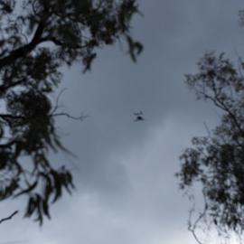 Drone, Finchley Reserve, Yengo National Park, NSW - Photo 0023