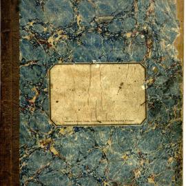 Diary and Ship’s Log of Captain John Dalton, the "Rowena", 1866-1867