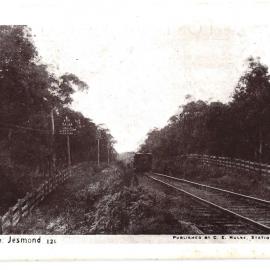 Tram Loop, Jesmond, NSW