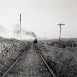 Locomotive No. 10 crosses swamp, 22 March 1972, J. and A. Brown 