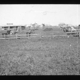 Dairy on Flat, Duckenfield