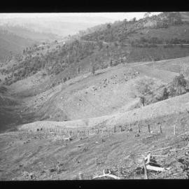 Matthew's Gap, Pokolbin
