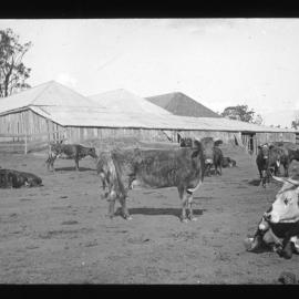 Old Cellar, now Dairy, Deep Creek