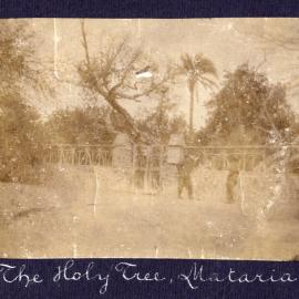 The Holy Tree, Mataria