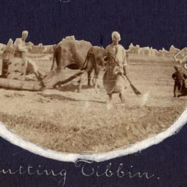 Cutting Tibbin