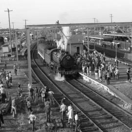 The day before electrification to Newcastle, New South Wales Government Railways C36-class Locomotive 3642 waits to leave Broadmeadow Station, Broadmeadow, NSW, 3rd June 1984.