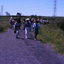 On a walking track - Hunter Wetlands Centre, Shortland