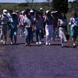 On a walking track - Hunter Wetlands Centre, Shortland