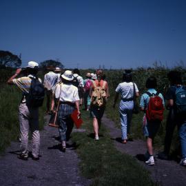 On a walking trail - Hunter Wetlands Centre, Shortland
