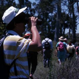 On a walking trail - Hunter Wetlands Centre, Shortland