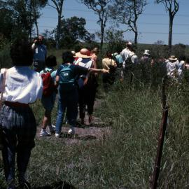 On a walking trail - Hunter Wetlands Centre, Shortland
